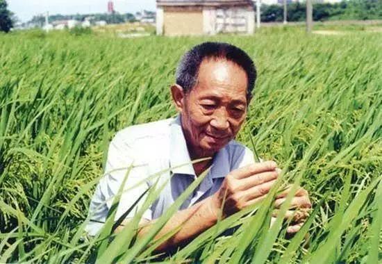 一日三餐，米香彌漫，飽食者當(dāng)憶袁公！