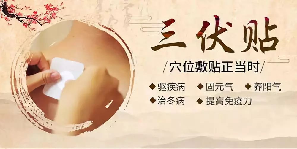 關(guān)于三伏貼，你了解多少呢？